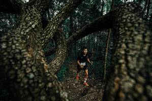 BIB: 
                            <button type="button" onclick="openModal(25691774)" class="btn btn-primary btn-sm float-right btn-popup" data-toggle="modal" data-target=".modal-high-quality">
                        <i class="fas fa-shopping-cart"></i> Add to Cart
                    </button>
                                            <button type="button" onclick="isThisMe(25691774, true)" class="btn btn-success btn-sm float-right btn-popup btn-isme hidden" data-toggle="tooltip" data-placement="bottom" title="นี่คือรูปของคุณใช่ไหม คลิกที่นี่เพื่อเอาเข้าอัลบั้ม">
                        <i class="fas fa-plus"></i> Add to album
                    </button>
                    <button type="button" onclick="isThisMe(25691774, false)" class="btn btn-warning btn-sm float-right btn-popup btn-isnotme hidden">
                        <i class="fas fa-ban"></i> Remove from album
                    </button>